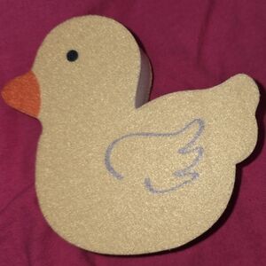 Spring Kitchen Sponges